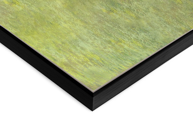 Framed Canvas